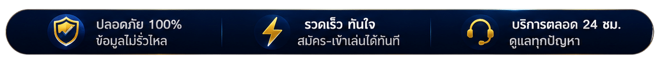 ปลอดภัย 100%
